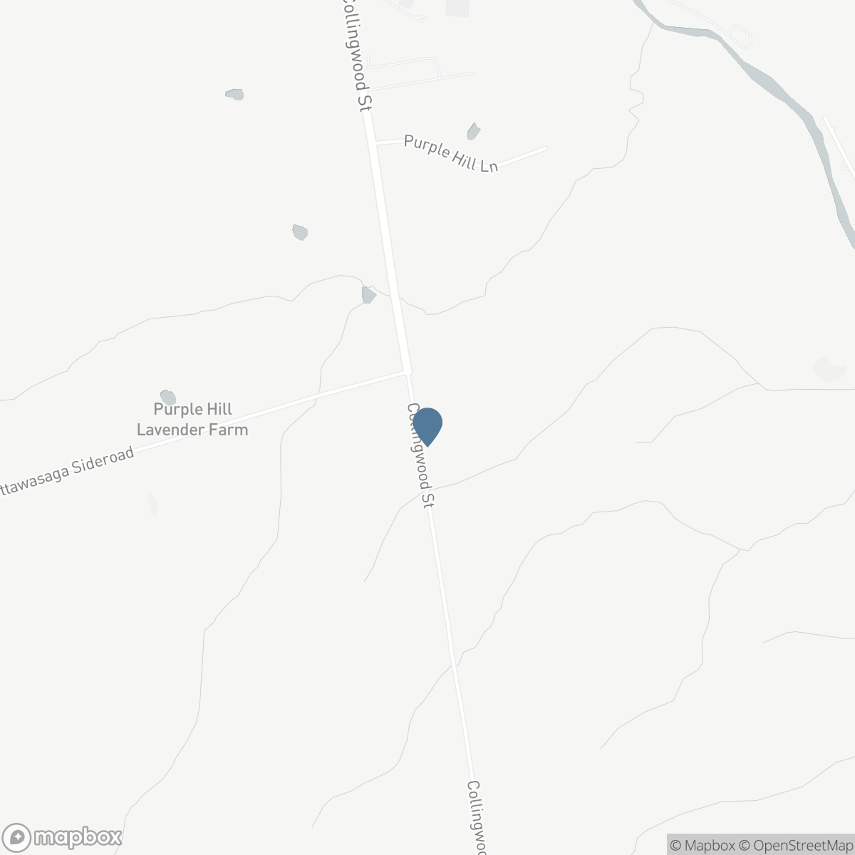 3237 COLLINGWOOD STREET, Creemore, Ontario L0M 1G0